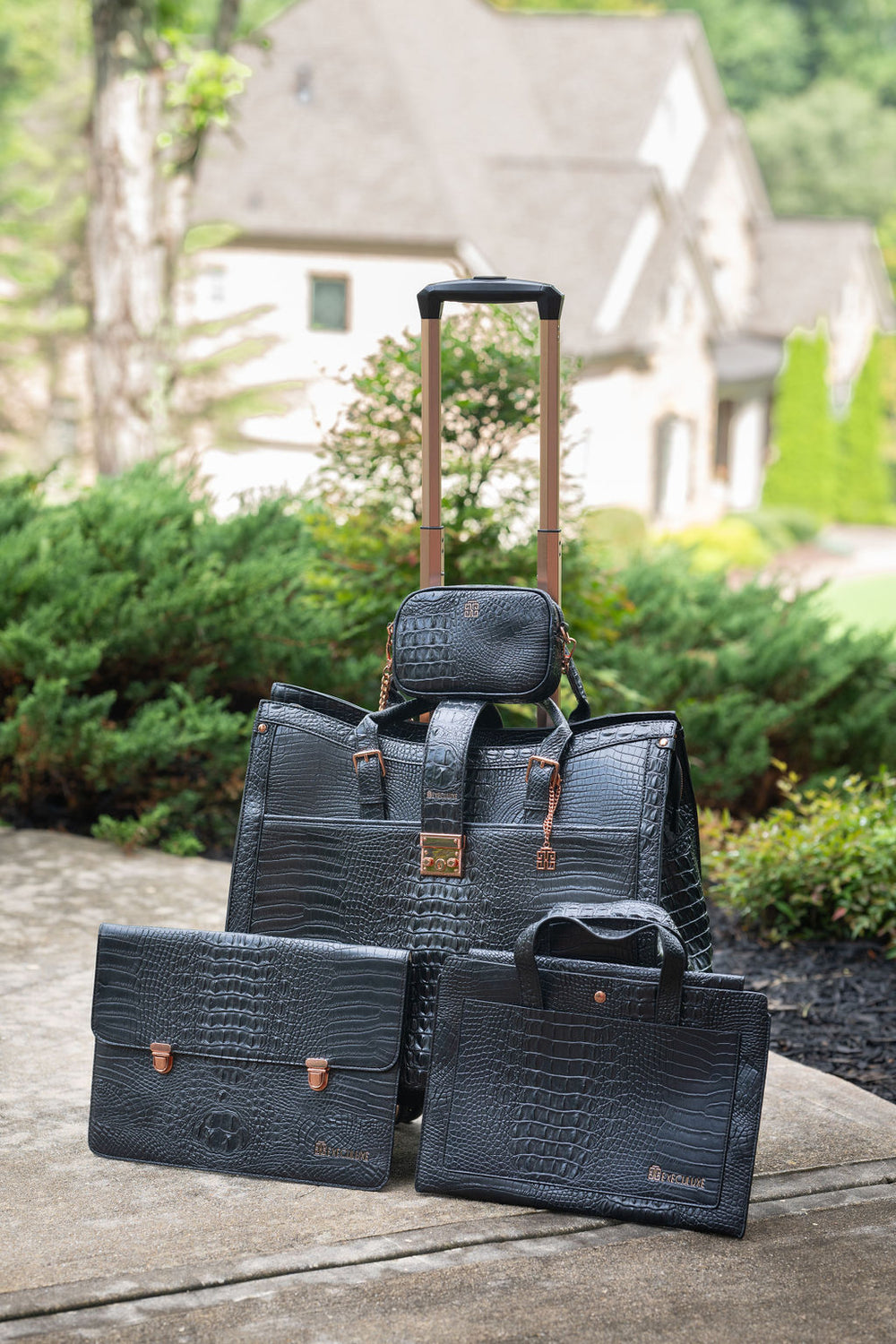 DSC_6410_1000x.jpg?v=1722989981